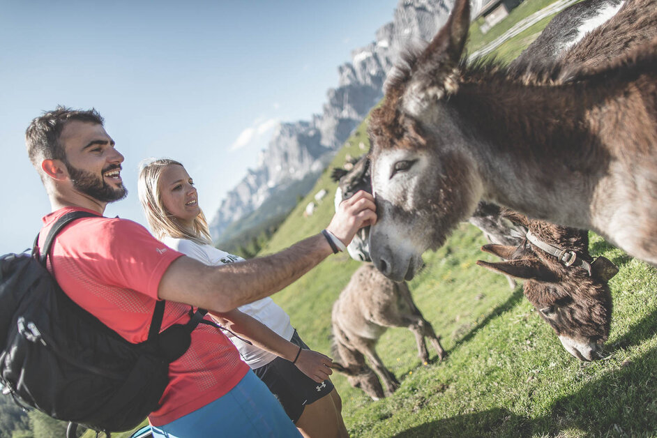 Hiking Dolomites Hotel Nocker